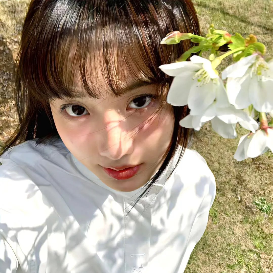胡杨女人